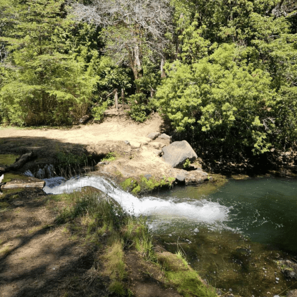 mesacura sendero tolhuaca